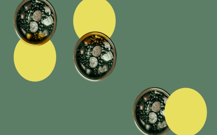 A gastrônoma e historiadora Camila Landi fala sobre as origens da feijoada (Crédito: Revista Problemas Brasileiros)